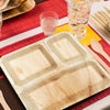 10 Square Palm Leaf 3-Partition Eco Friendly Disposable Dinner Plates